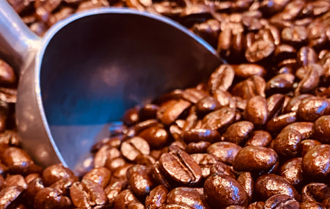 beans02.jpg